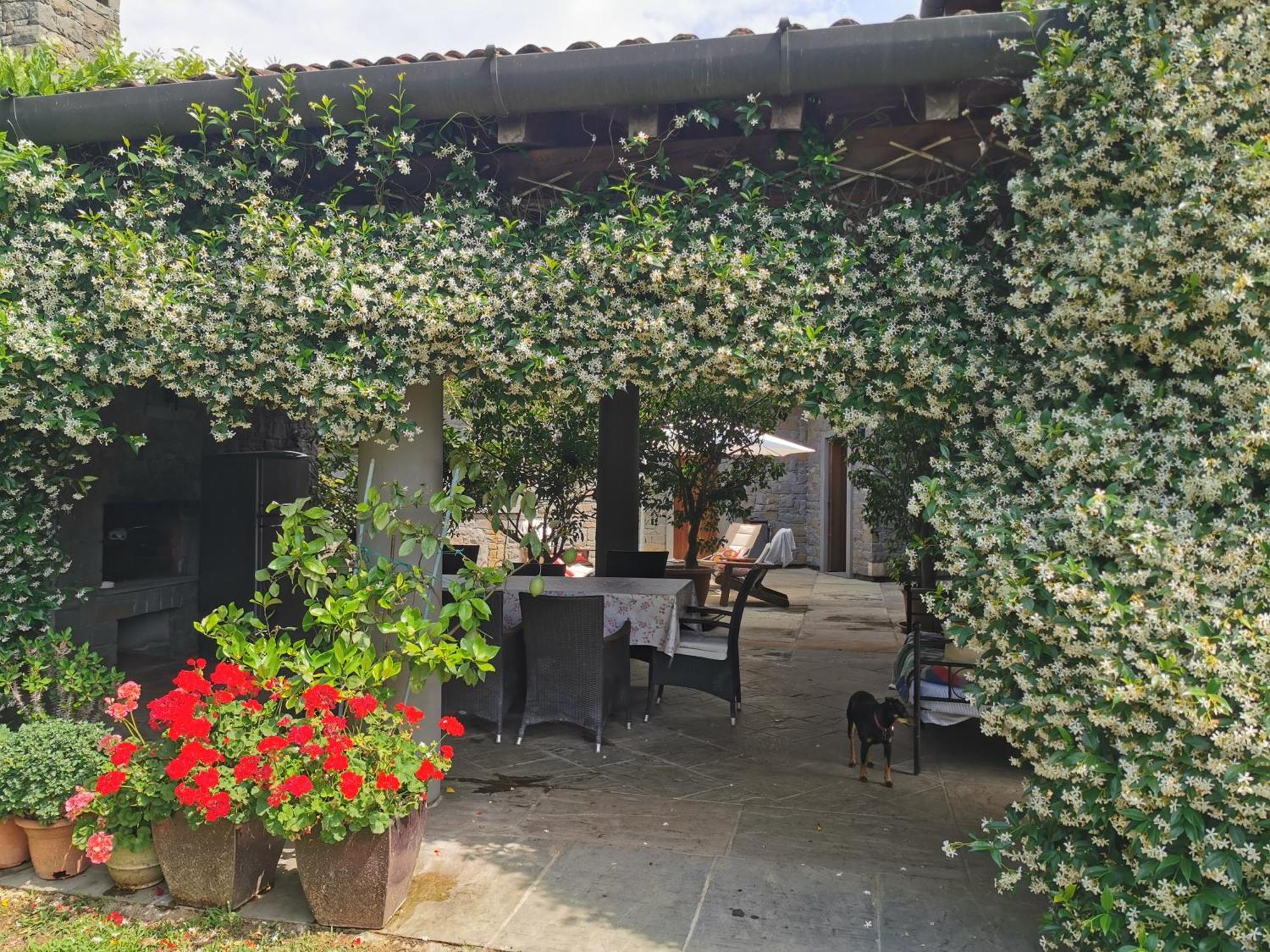 B&B Villa Melograno Pontoglio Esterno foto